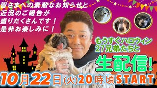 【もうすぐハロウィン生配信！】１０月２２日火よる２０時頃～２７兄弟たちと生配信！！素敵なお知らせと近況報告が盛りだくさんです！！ [upl. by Soalokcin]