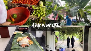 A day in my life before Wayanad landslideTastetours by Shabna Hasker [upl. by Matthus]