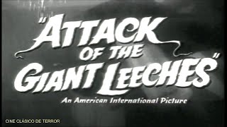 quotAttack of the Giant Leechesquot 1959 Trailer original [upl. by Helene]