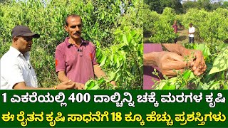 1 ಎಕರೆಯಲ್ಲಿ 400 ದಾಲ್ಚಿನ್ನಿ ಚಕ್ಕೆ ಮರಗಳು  ಕಡಿಮೆ ಖರ್ಚಿನ ದಾಲ್ಚಿನ್ನಿ ಕೃಷಿ  cinnamon farming in kannada [upl. by Yanat662]