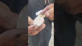 Buying crystals directly from the miners in Shigar valley gilgit baltistan Pakistan crystals [upl. by Hammad657]