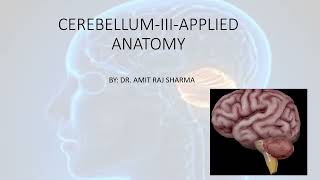 CEREBELLUMIIIAPPLIEDCEREBELLAR SYNDROMELESION OF VERMISREBOUND PHENOMENONDANDYWALKER SYNDROME [upl. by Garlan941]