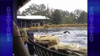 SeaWorld Tourist Video Shown At Hearing [upl. by Nahtnaoj]