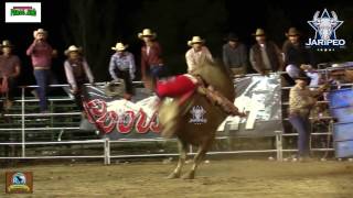 GALLITO DE MORELIA LO HACE MONTA 6 TOROS [upl. by Ahsenrad914]