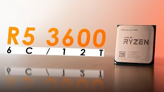 Ryzen 5 3600 in 2024  Best Budget CPU to Buy Right Now [upl. by Yovonnda641]