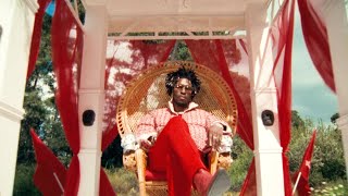 SAINt JHN  THE BEST PART OF LIFE OFFICIAL MUSIC VIDEO [upl. by Ahsuoj]