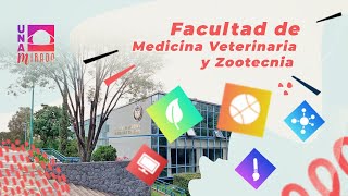 Facultad de Medicina Veterinaria y Zootecnia  UNAMirada [upl. by Inattirb]