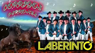 Las 25 Mejores Canciones de Grupo Laberinto  Mix De Puras Viejitas Pa Pistear De Grupo Laberinto [upl. by Dustin]