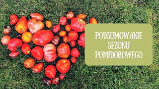 Podsumowanie sezonu pomidorowego Ile kg pomidorów udało mi się zebrać w tym roku [upl. by Etteloc]