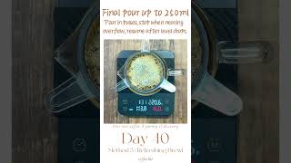 PourOver Coffee Daily Recipe  Day40 Coffee Consulate RS16 Three Brewing Methods  Method 3 [upl. by Terrell715]