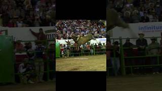 Reto GANSITO DE NAYARIT vs PATRÓN DE CORRALEJO Rancho la Candelaria en Autlán Jalisco Jaripeo [upl. by Llebanna]