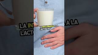 LÁCTEOS ❌🐮 y malas digestiones 🤢 saludable salud vidasana sinlactosa lacteos tipsdesalud [upl. by Mike]