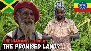 24 Hours with Repatriated Rastas in Shashamane Ethiopia 🇯🇲🇪🇹 [upl. by Hannaoj]