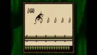 Donkey Kong Land Gameboy 100 29 [upl. by Krall]