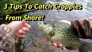 3 Crappie Fishing Tips Guaranteed To Catch Crappies From Shore [upl. by Clabo]