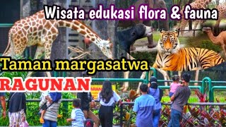 TAMAN MARGASATWA RAGUNAN  RAGUNAN ZOO  Tiket masuk hanya 4000 [upl. by Acinor614]