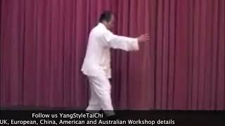 Fu Sheng Yuan  Yang Family Tai Chi 28 Form [upl. by Patrica]