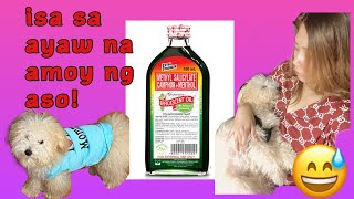 AYAW NA AMOY NG ASO [upl. by Marysa]