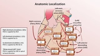 Intro to EKG Interpretation  Myocardial Infarctions Part 1 of 2 [upl. by Iaka]