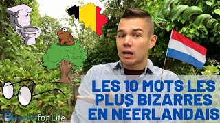 Apprends le néerlandais 10 mots bizarres en néerlandais apprendre le néerlandais pour débutants [upl. by Nayrbo]