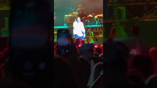 Kymani Marley sings buffalo SOLDIER with the crowd reggae marleybrothers [upl. by Nelyk]