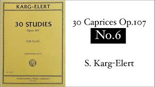 【Flute】30 Caprices Op107 No6  SKargElert [upl. by Aelanej]