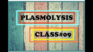 Plasmolysis  Class9  Chap4 [upl. by Ellenid]