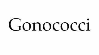 How to Pronounce Gonococci [upl. by Liggett921]