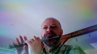 Brian Borus March 2  Basler Piccolo Flute [upl. by Remle]