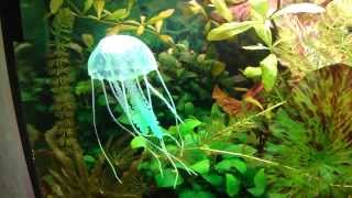 Aquarium mit Qualle aus Silikon [upl. by Harve]