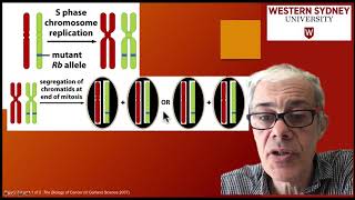 34 Loss of heterozygosity LOH [upl. by Aihtela597]