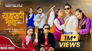 Yangsari Maya  Pradeep Lama amp Lamu Sherpa •A New Himalayan Melodies• Official MV [upl. by Gable874]