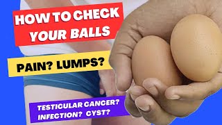 Checking For Testicular Cancer Cysts Hydrocoele Epididymitis Torsion amp Varicocoele [upl. by Hajile]