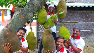 Jackfruit Recipe  How to make Bengali famous Kathal Fuluri cooking for village people [upl. by Leahkim]