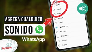 Como añadir nuevos sonidos y tonos de notificaciones a WhatsApp [upl. by Maurer444]