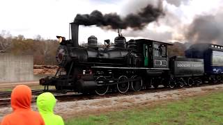 Hocking Valley Scenic Railway steam locomotive drive by [upl. by Burford914]