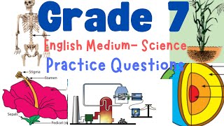 Grade 7 Science English Medium  Practice Revision Questions With Answers  Online Practice Test [upl. by Eihctir]