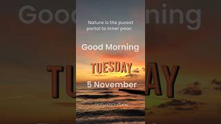 Good Morning wishes 💐🙏goodmorningtuesday 5November2024 Tuesdayvibe goodmorningstatusgoodmorning [upl. by Saudra]