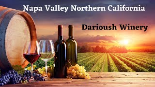 11Napa Valley Northern California  Darioush Winery good place to visit winetastingwine cali [upl. by Rebekkah]