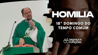 04082024  Homilia do 18º Domingo do Tempo Comum [upl. by Eislel884]