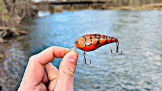 THIS COLOR CATCHES SMALLMOUTHPenns Creek and Susquehanna River [upl. by Donnell184]