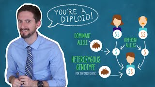 Dominant Recessive Incomplete Dominant Codominant What The Heterozygous Does This Mean [upl. by Itsirc]