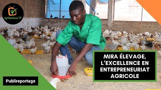 Burkina Faso  MIRA ÉLEVAGE l’excellence en entrepreneuriat agricole [upl. by Gaskill]