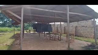 Pupils and Teachers abandoned classes over snake invasion at AtwimaMpasatia [upl. by Orelia]