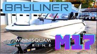 2023 Bayliner Element M17 Walk Through [upl. by Anaeerb]