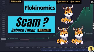 Flokinomics Token  Scam🔥  🔥 Binance Rebase Token  FLOKIN Token  Price of Flokinomics Token 🔥 [upl. by Etteb]