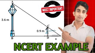 Triangle most important question Class 10 NCERT question🔥 [upl. by Stilwell]