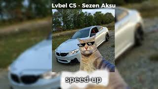 Lvbel C5  Sezen Aksu speedup [upl. by Nairrot]