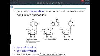 Nucleotide metabolism [upl. by Nat]