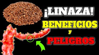 AGUA DE LINAZA EN AYUNAS  ¿Para Qué Sirve La Linaza  Beneficios Para Tu Salud Y Belleza [upl. by Tina]